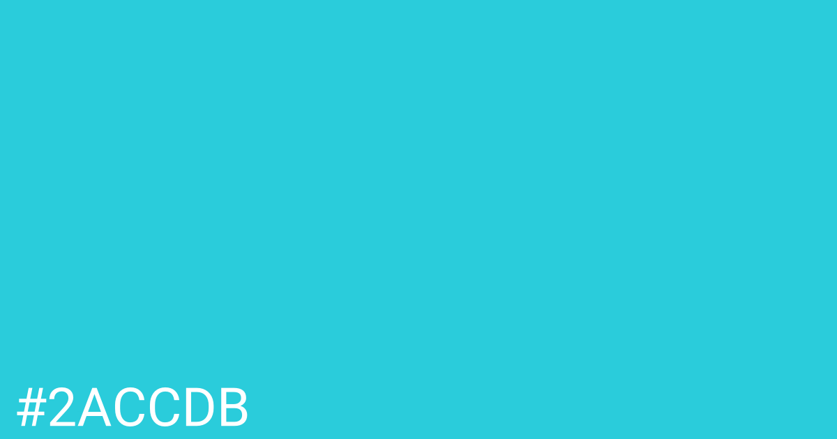 Hex color #2accdb graphic