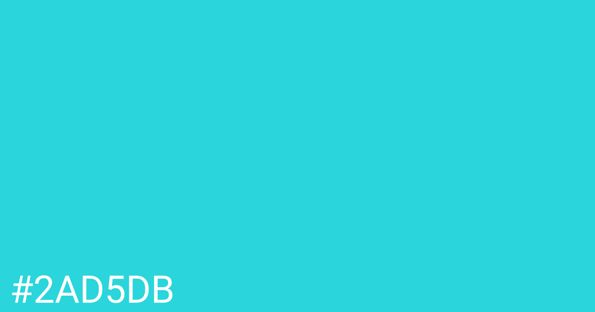 Hex color #2ad5db graphic