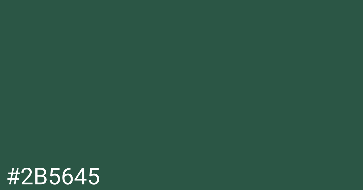 Hex color #2b5645 graphic