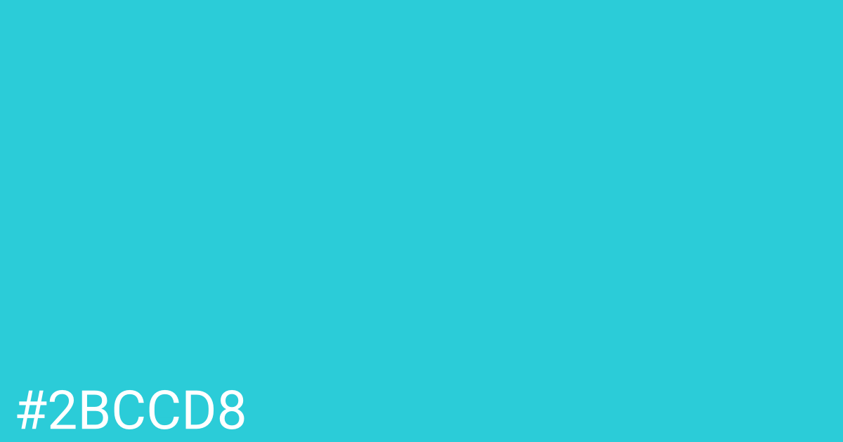 Hex color #2bccd8 graphic