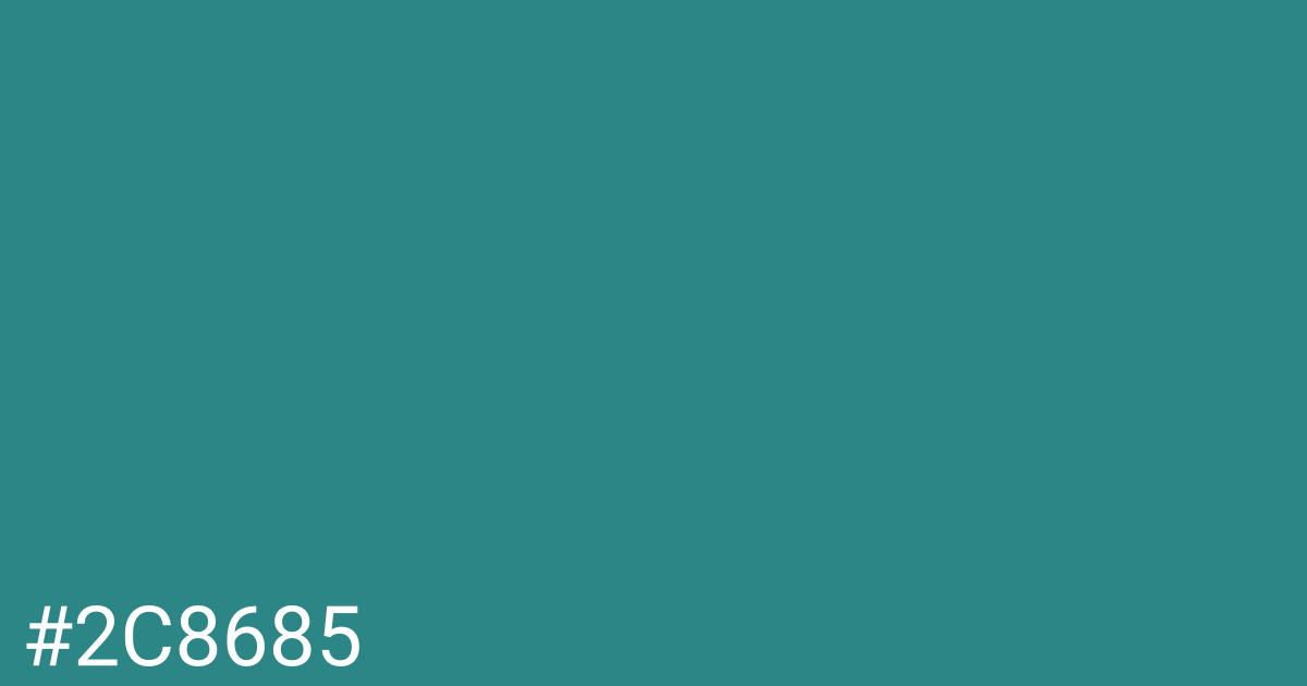 Hex color #2c8685 graphic