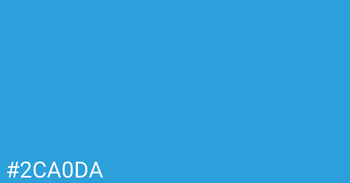 Hex color #2ca0da graphic