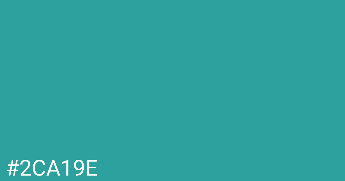 Hex color #2ca19e graphic