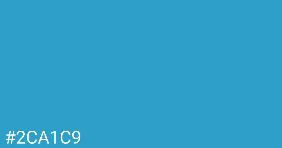 Hex color #2ca1c9 graphic