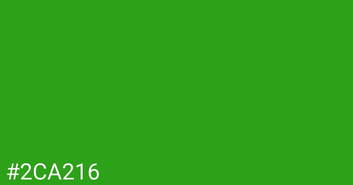Hex color #2ca216 graphic