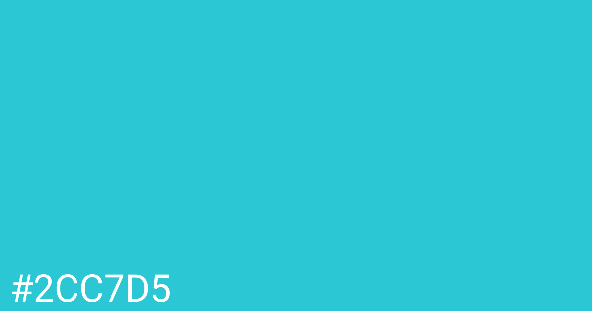 Hex color #2cc7d5 graphic