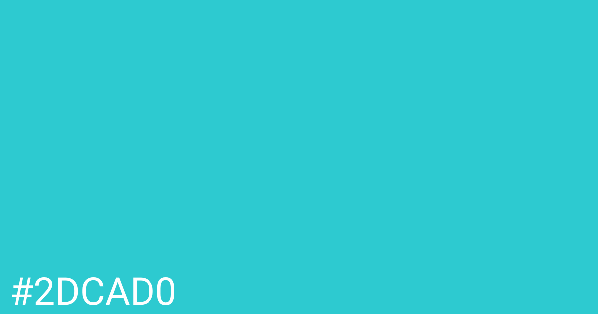 Hex color #2dcad0 graphic