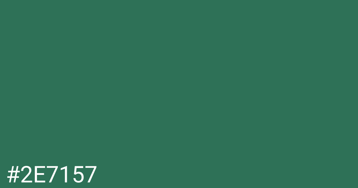 Hex color #2e7157 graphic