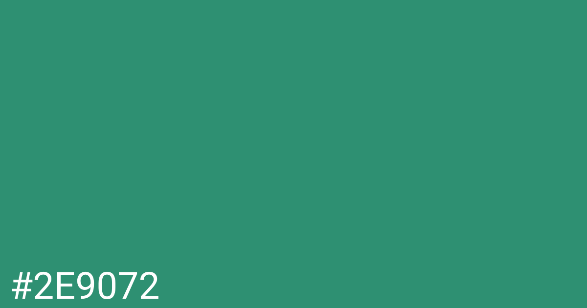 Hex color #2e9072 graphic