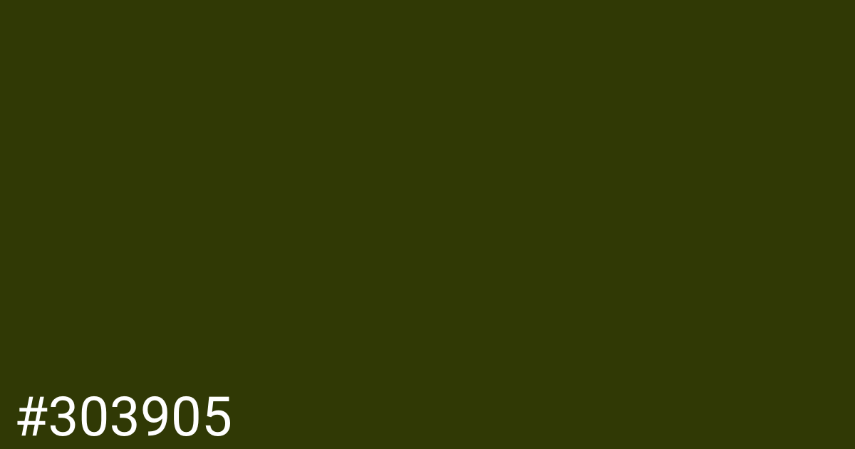 Hex color #303905 graphic