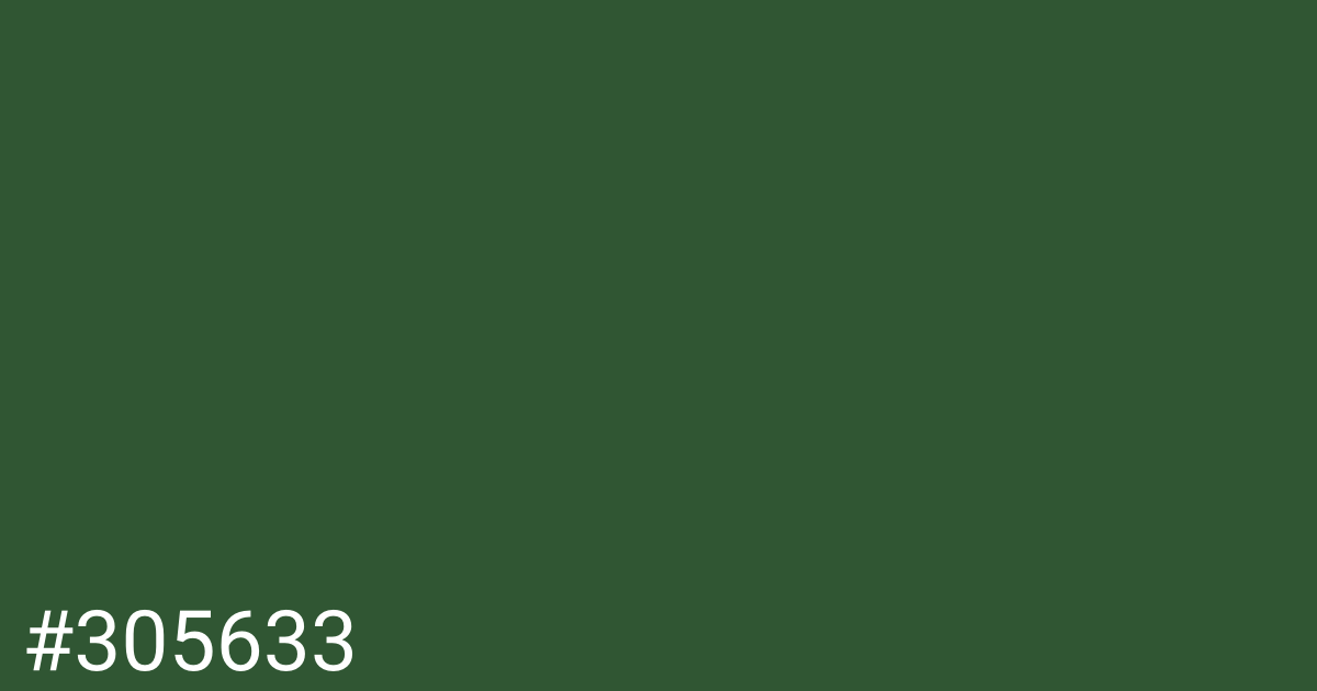 Hex color #305633 graphic