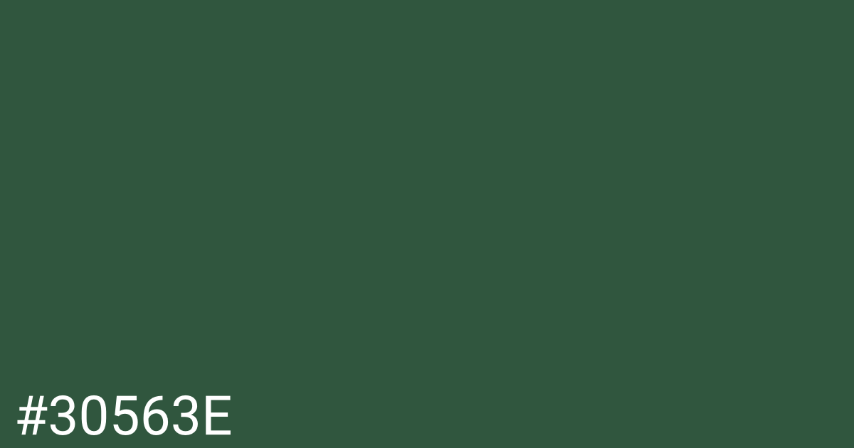 Hex color #30563e graphic