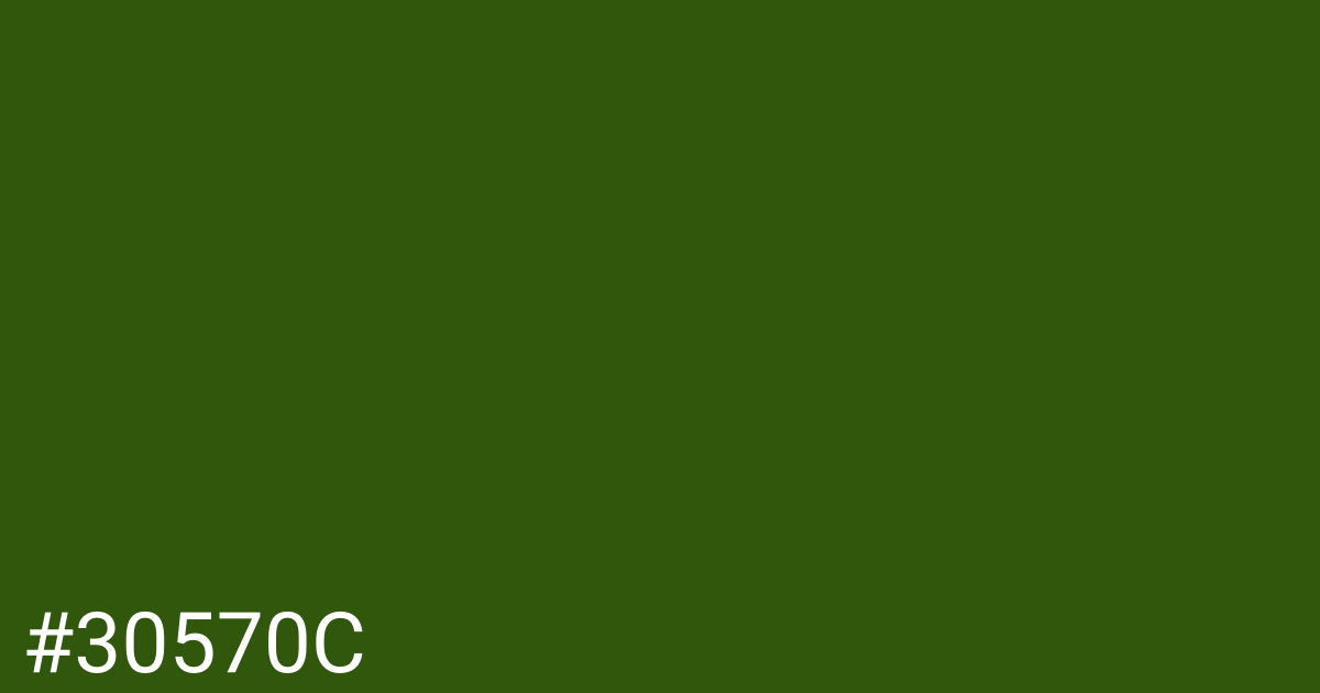 Hex color #30570c graphic