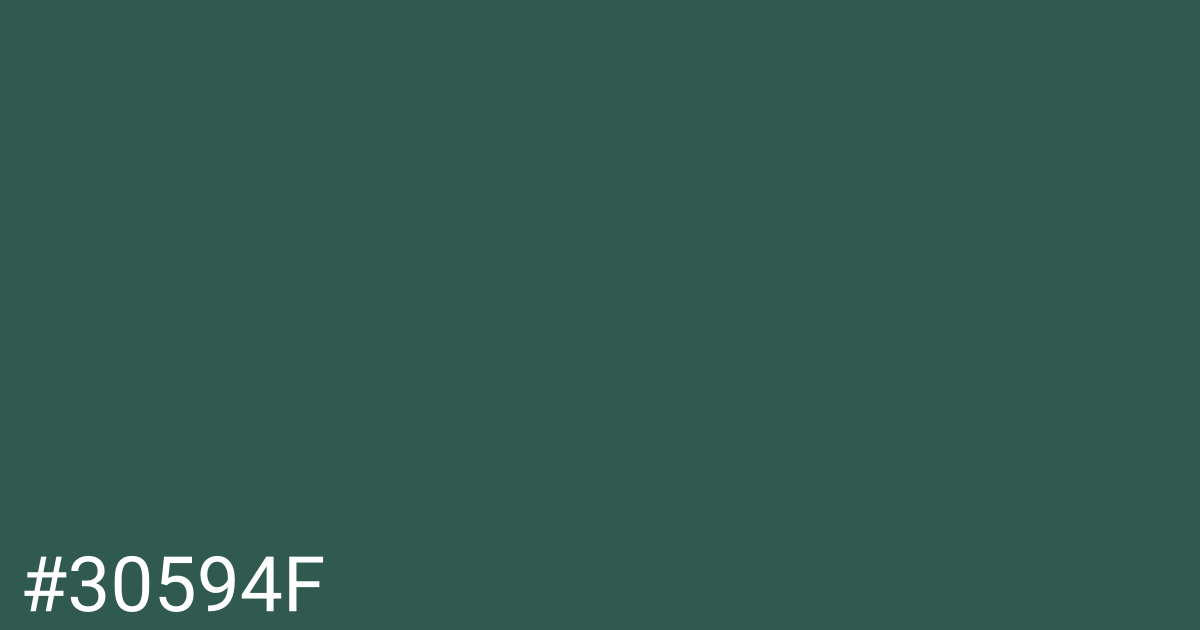 Hex color #30594f graphic