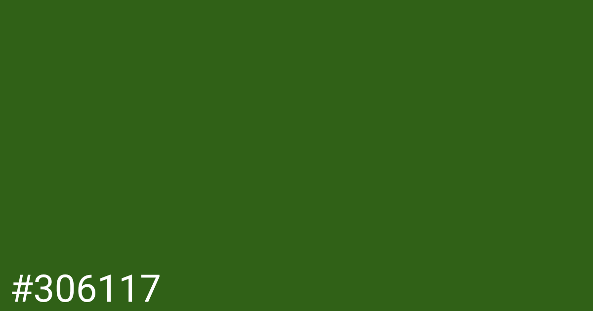 Hex color #306117 graphic