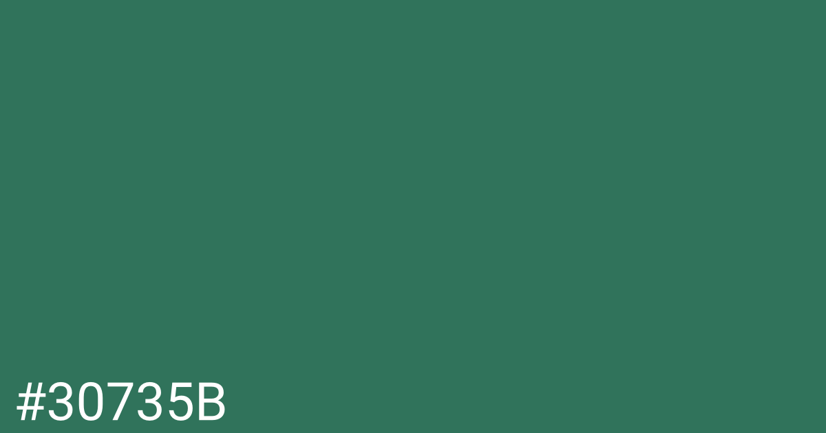 Hex color #30735b graphic