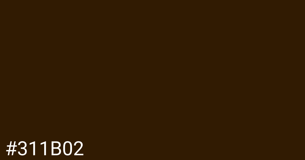 Hex color #311b02 graphic