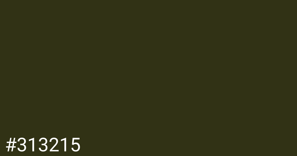 Hex color #313215 graphic