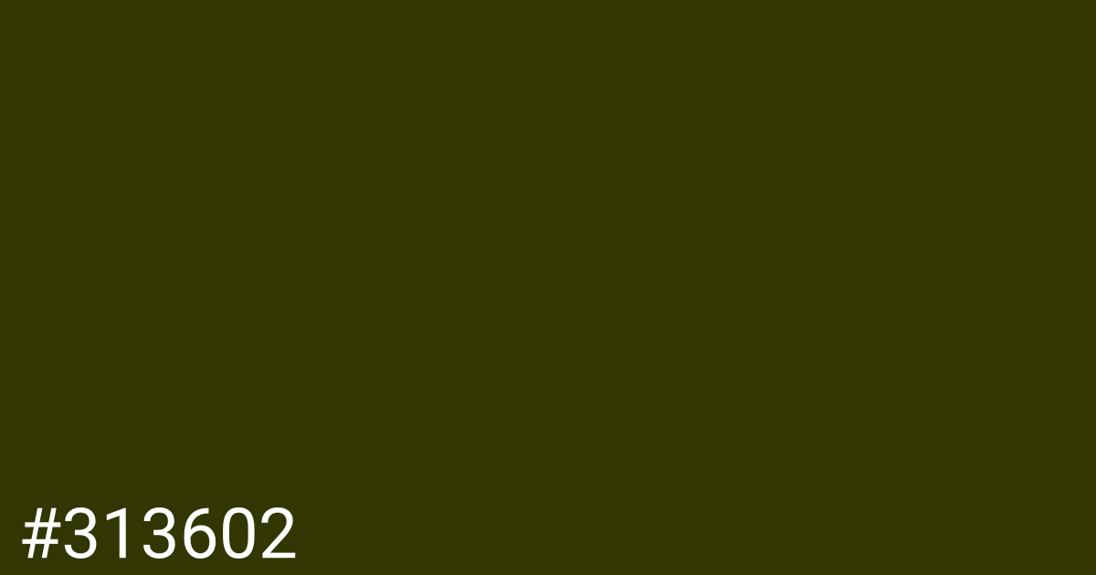 Hex color #313602 graphic