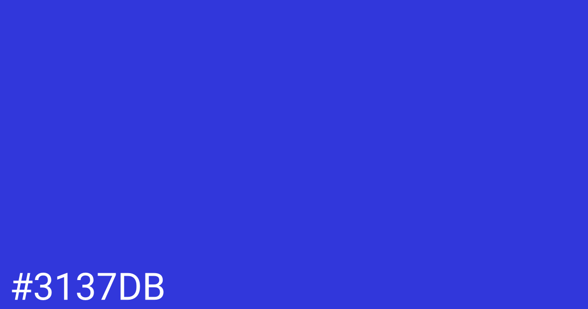 Hex color #3137db graphic