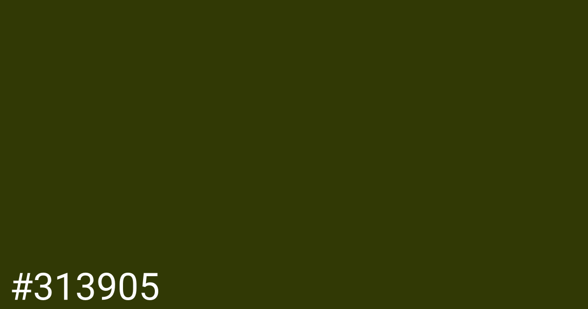 Hex color #313905 graphic