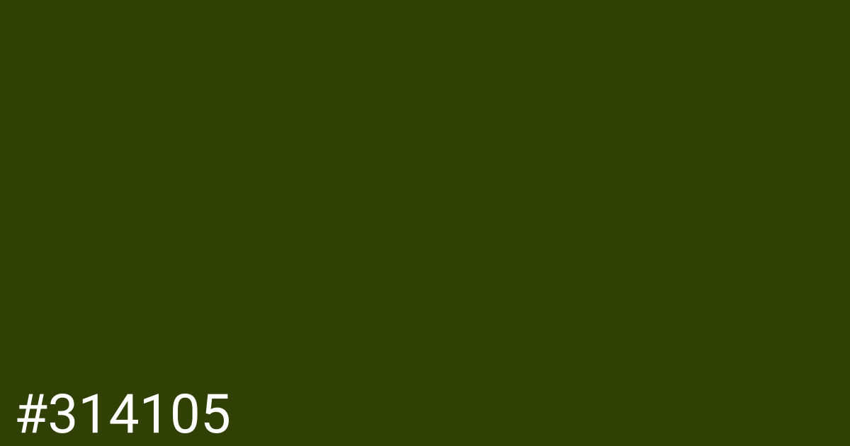 Hex color #314105 graphic