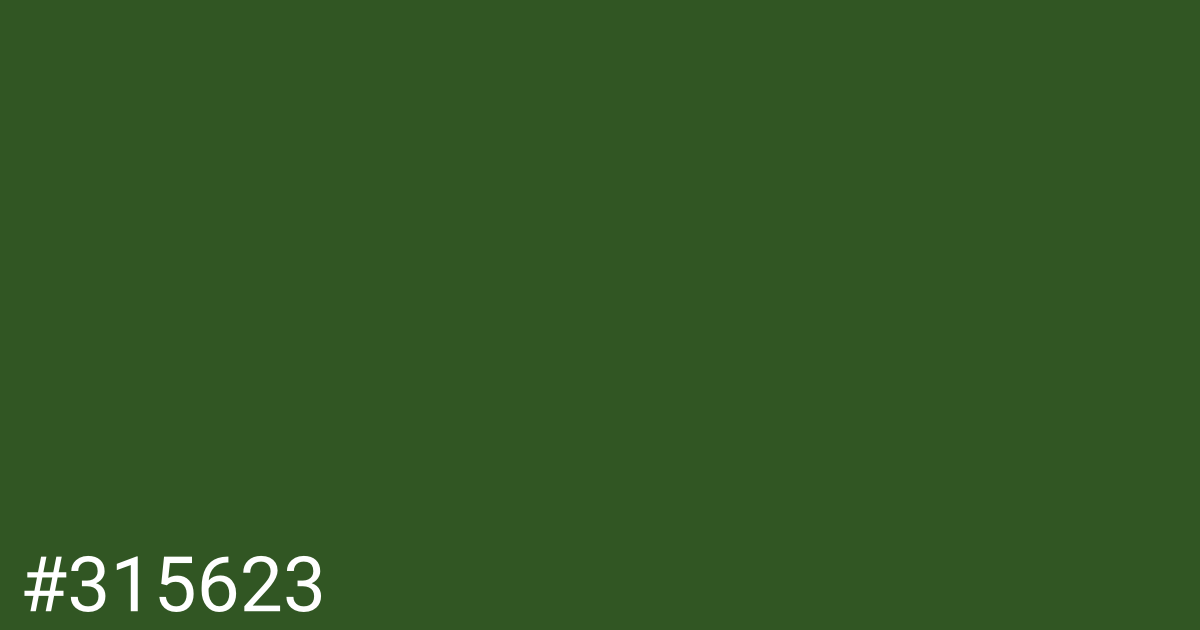 Hex color #315623 graphic