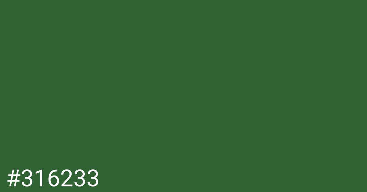 Hex color #316233 graphic