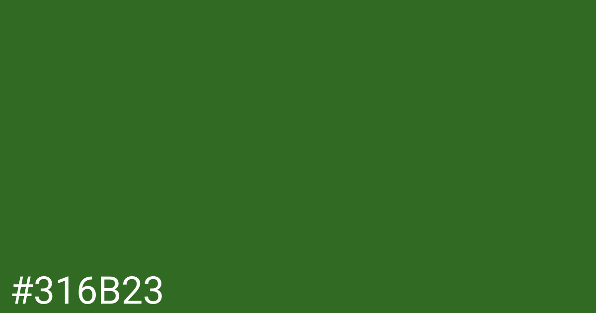 Hex color #316b23 graphic