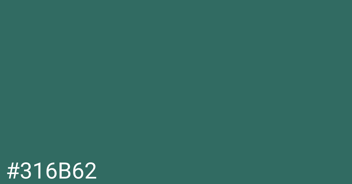 Hex color #316b62 graphic