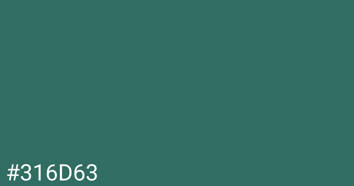 Hex color #316d63 graphic