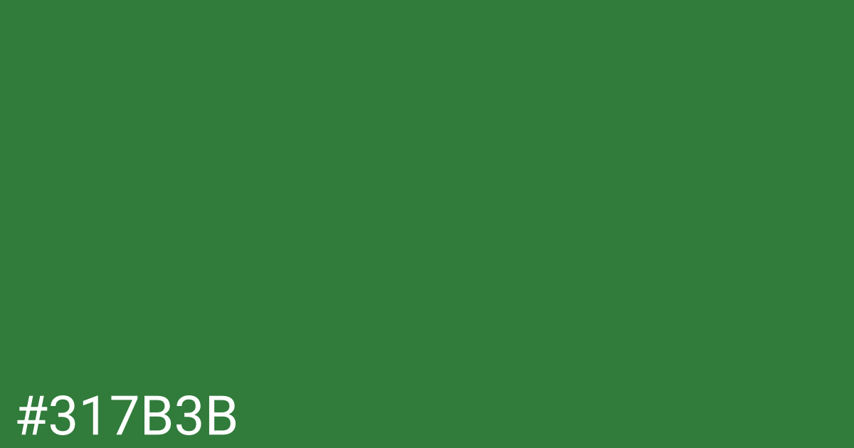 Hex color #317b3b graphic