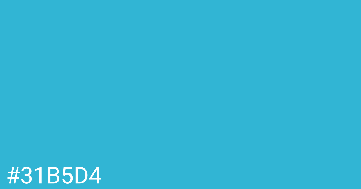 Hex color #31b5d4 graphic