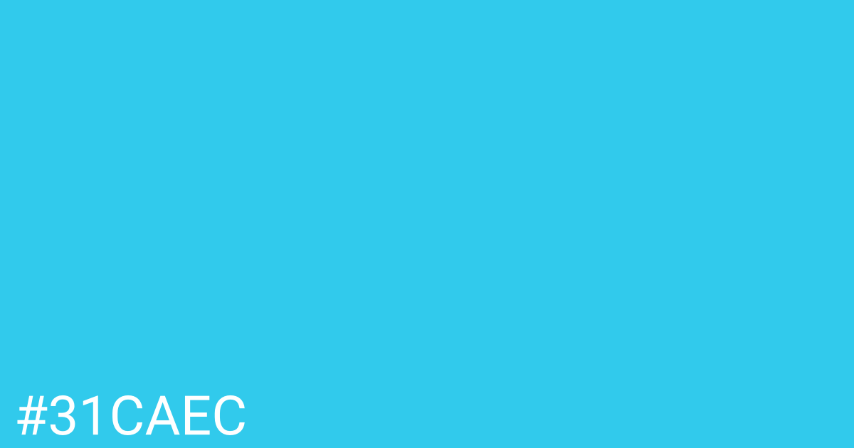 Hex color #31caec graphic