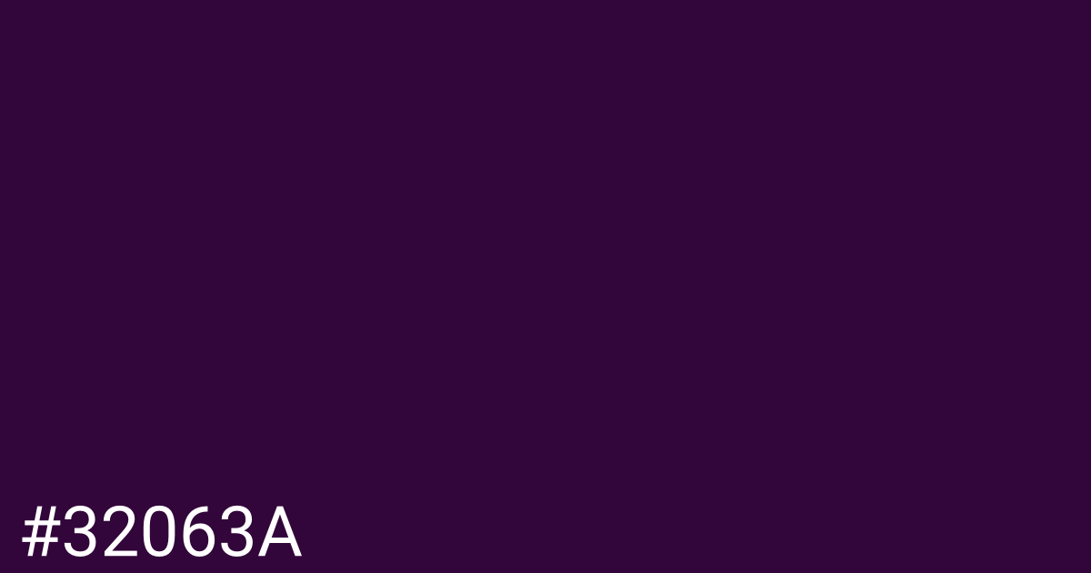 Hex color #32063a graphic