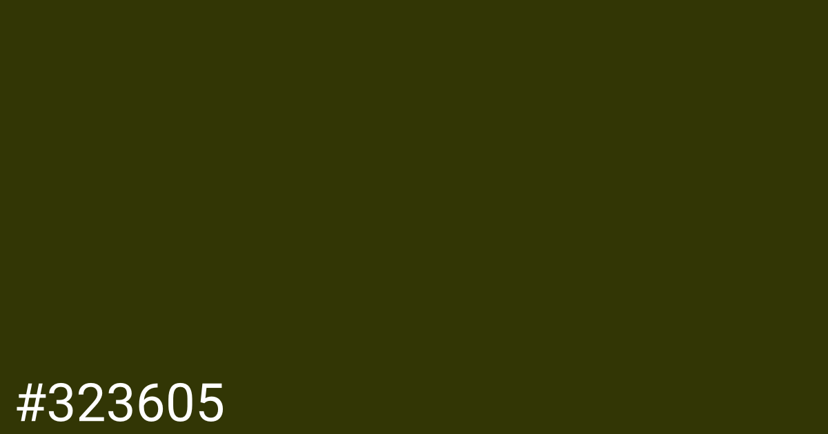 Hex color #323605 graphic