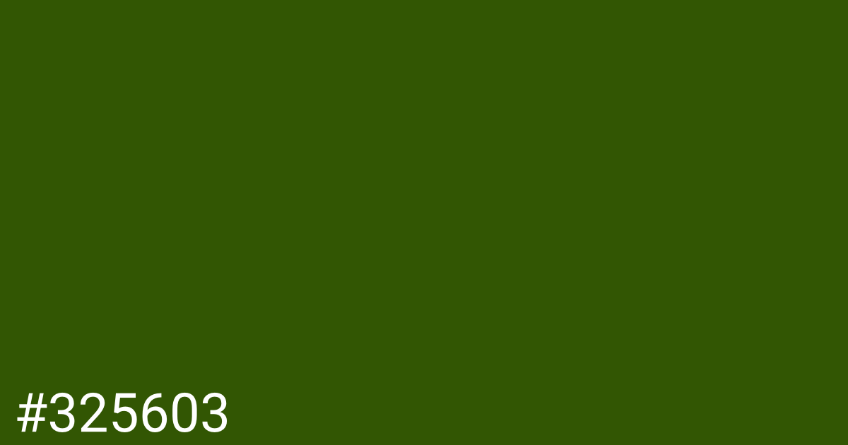 Hex color #325603 graphic