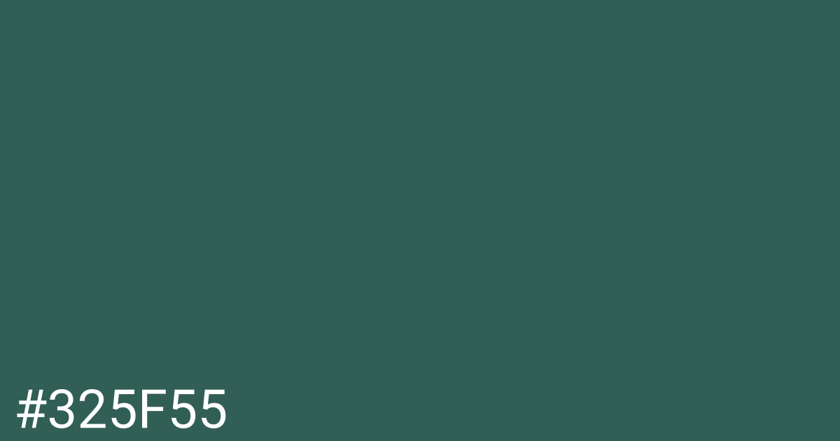 Hex color #325f55 graphic