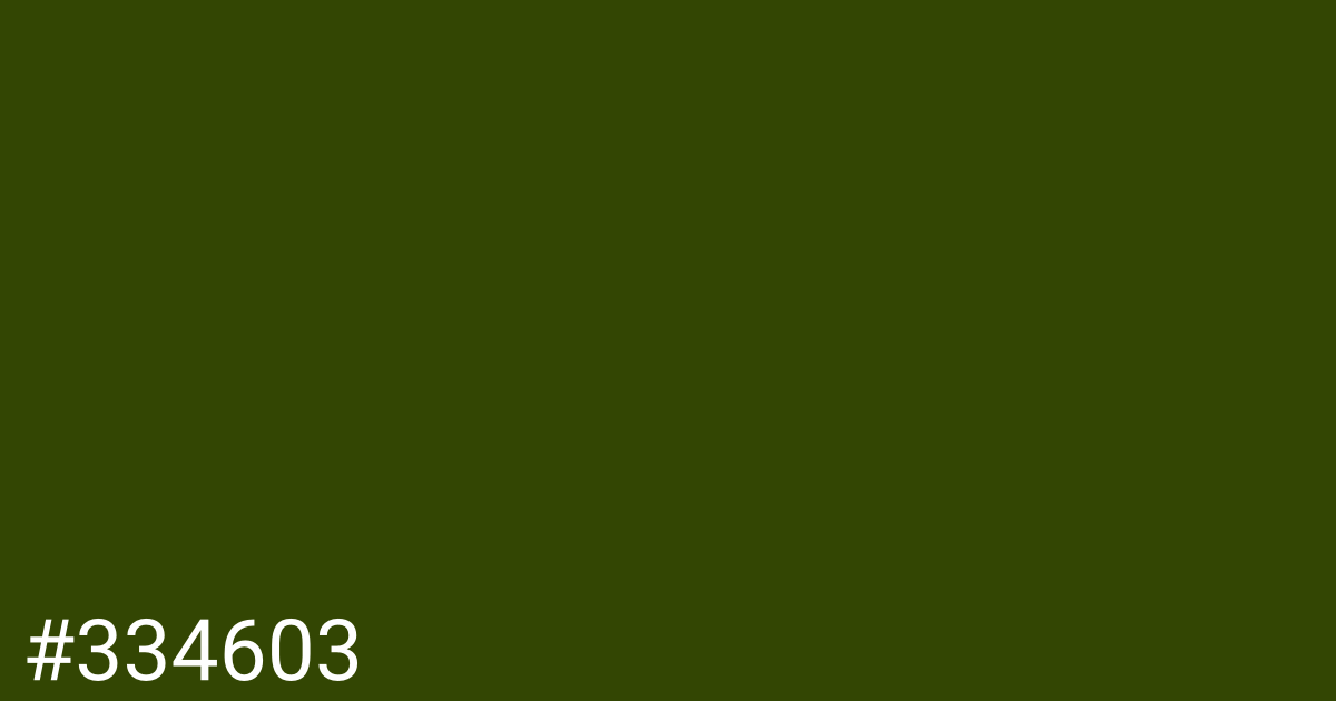 Hex color #334603 graphic