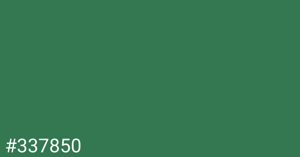 Hex color #337850 graphic