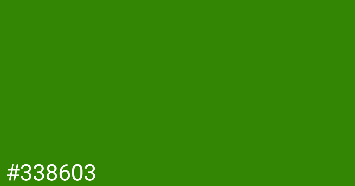 Hex color #338603 graphic