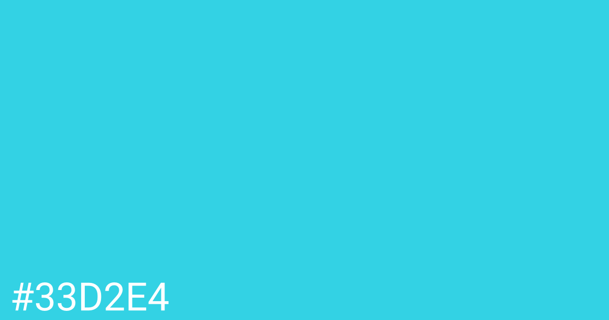 Hex color #33d2e4 graphic