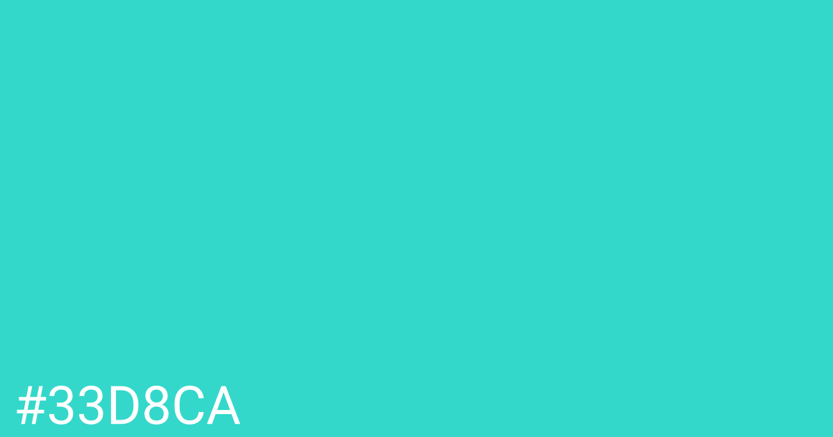 Hex color #33d8ca graphic