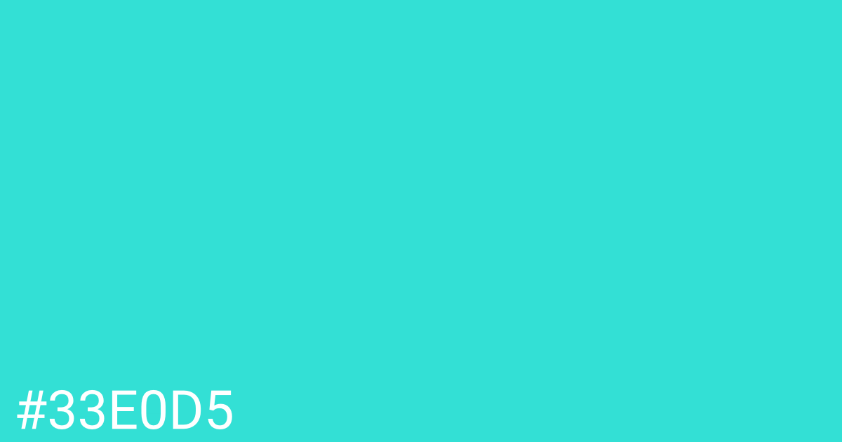 Hex color #33e0d5 graphic