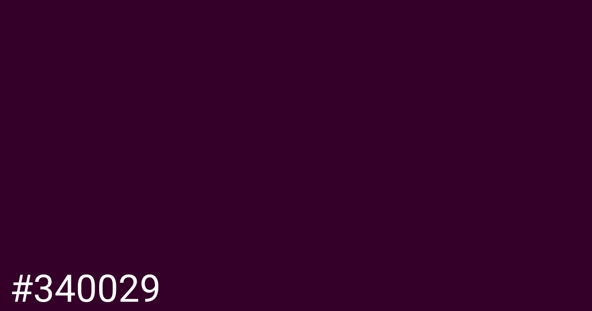 Hex color #340029 graphic