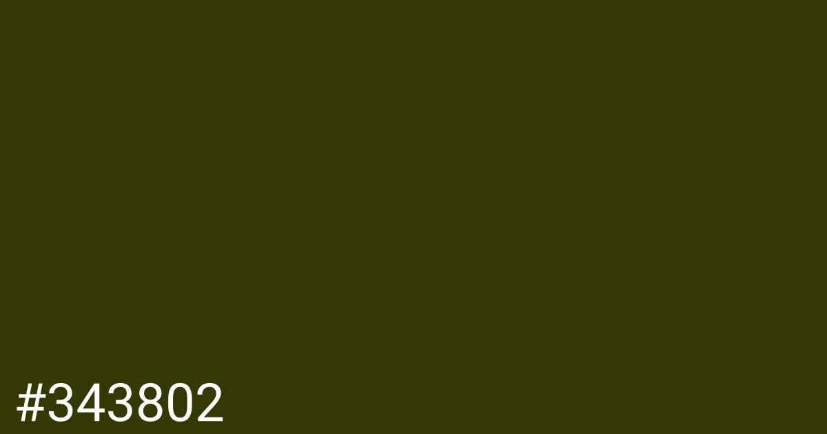 Hex color #343802 graphic