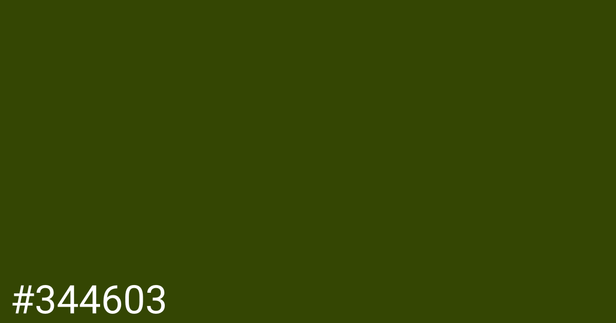 Hex color #344603 graphic