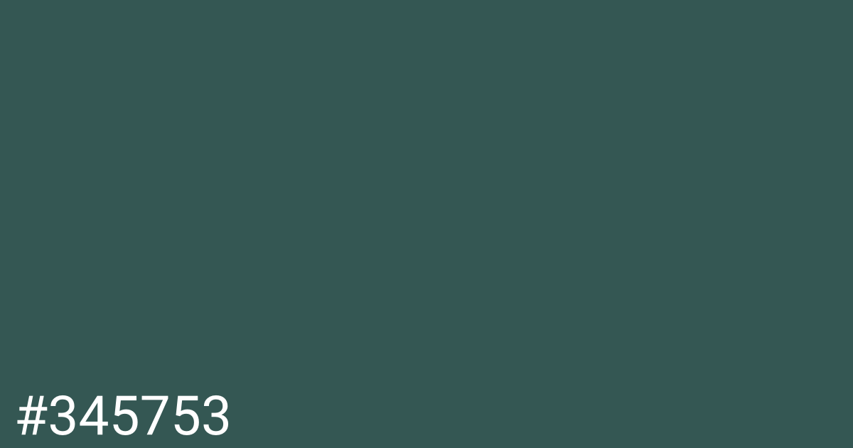 Hex color #345753 graphic