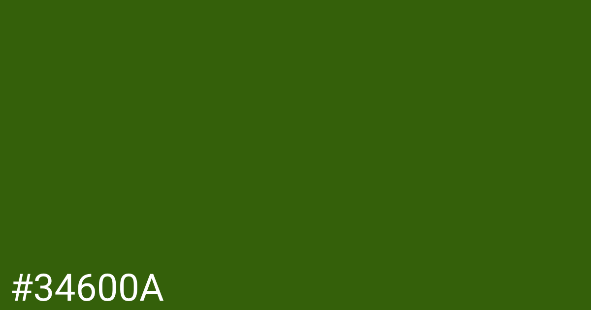 Hex color #34600a graphic
