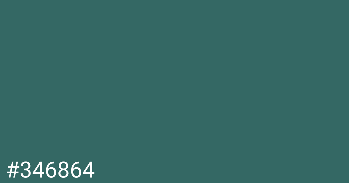 Hex color #346864 graphic